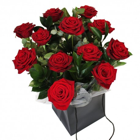 Bueatiful Red or coloured roses