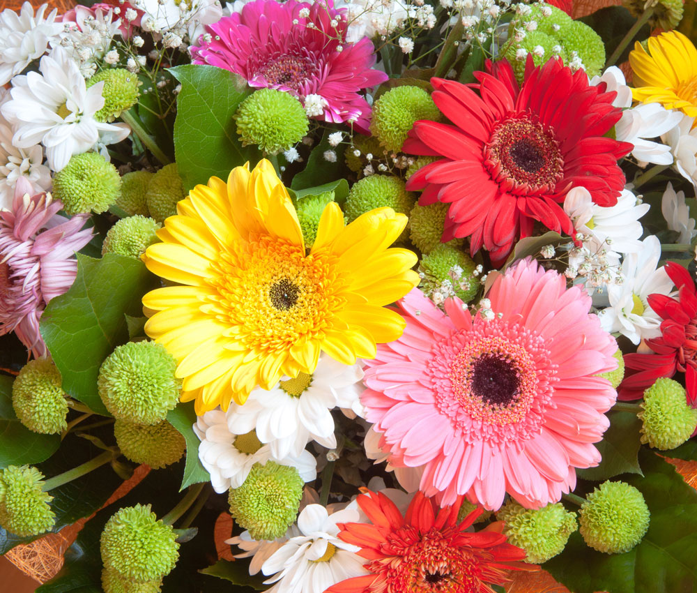 Gallery for Dawnacres Florist | Order flowers online today!